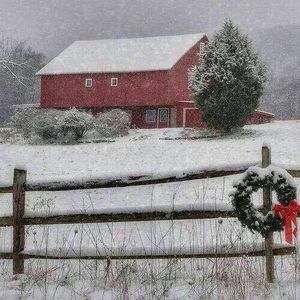 Meet your Posher, Deana